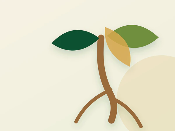 Rhodiola y adaptogenos: que revisar antes de comprar
