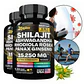 Zoyava Shilajit + Ashwagandha + Rhodiola + Panax 120 Cápsulas - Miniatura 5