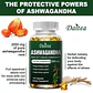 Daitea Organic Ashwagandha Extra Strength 2000 mg (120 Cápsulas) - Miniatura 4