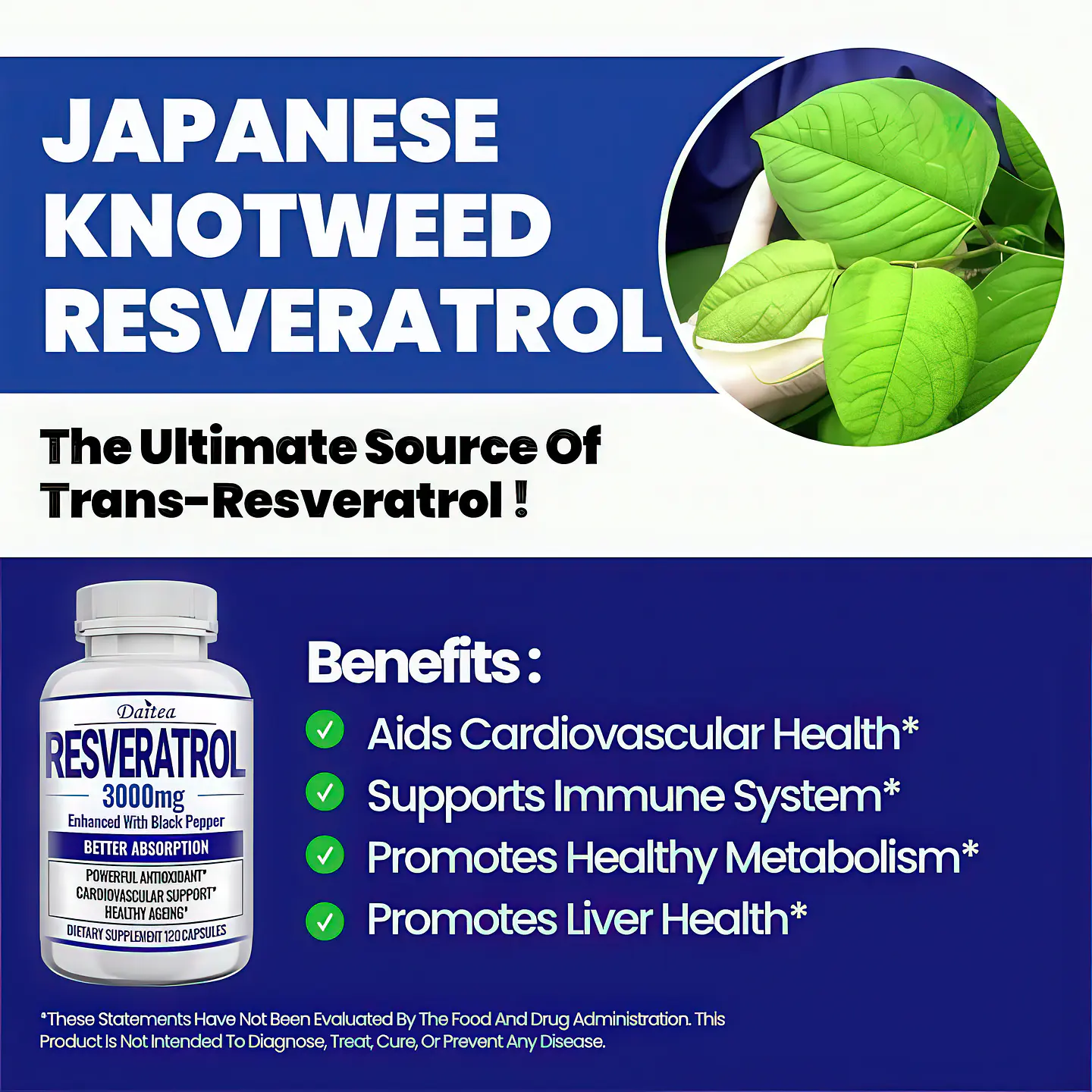 Resveratrol 3000 Mg 120 Cápsulas Original 4