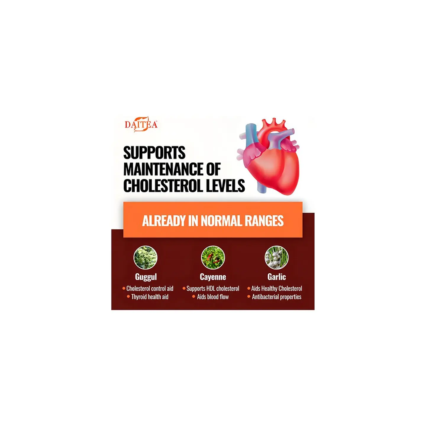 Cholesterol Fórmula Metabólica 6