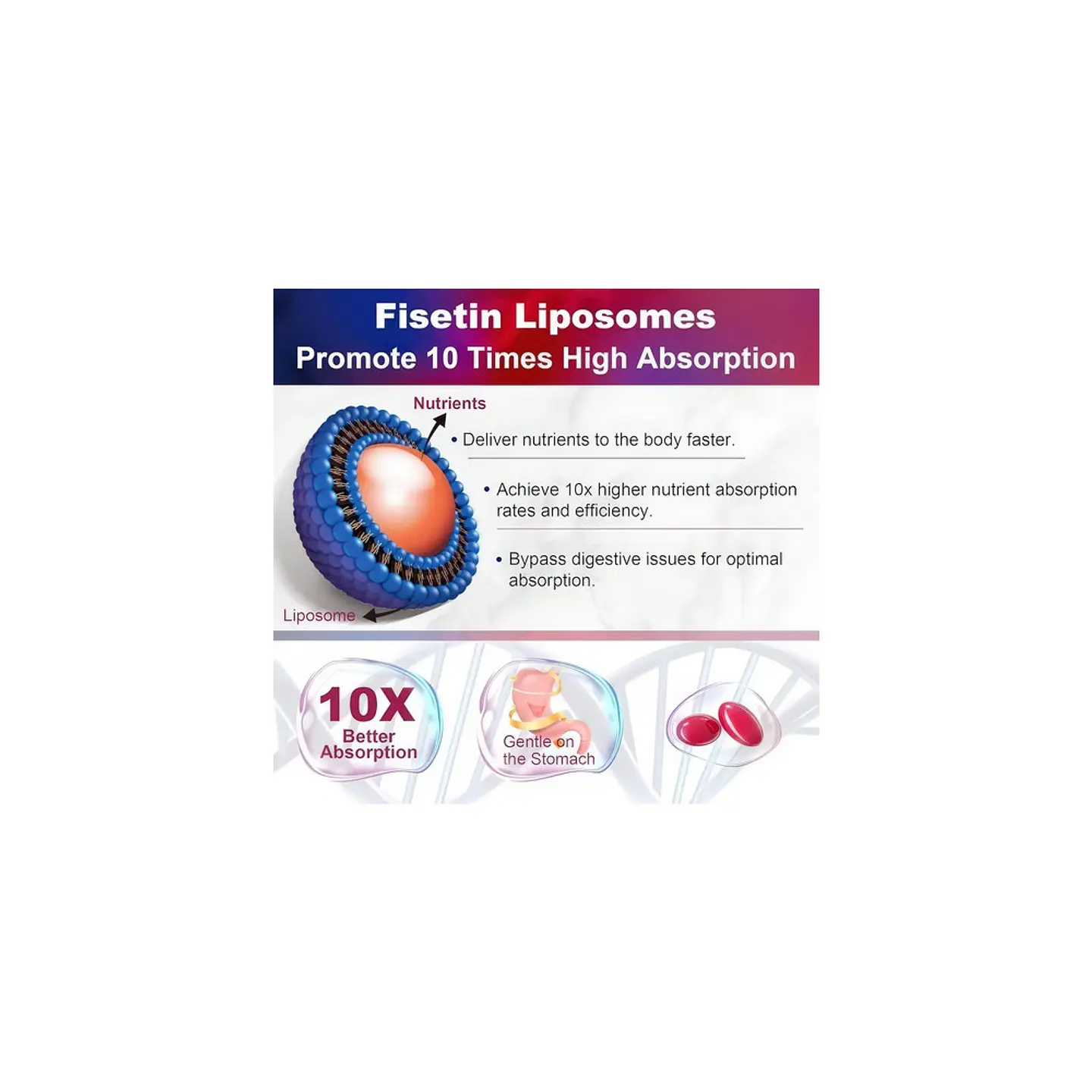 Fisetin Liposomal 1200 mg Máxima Biodisponibilidad Polifenol 3