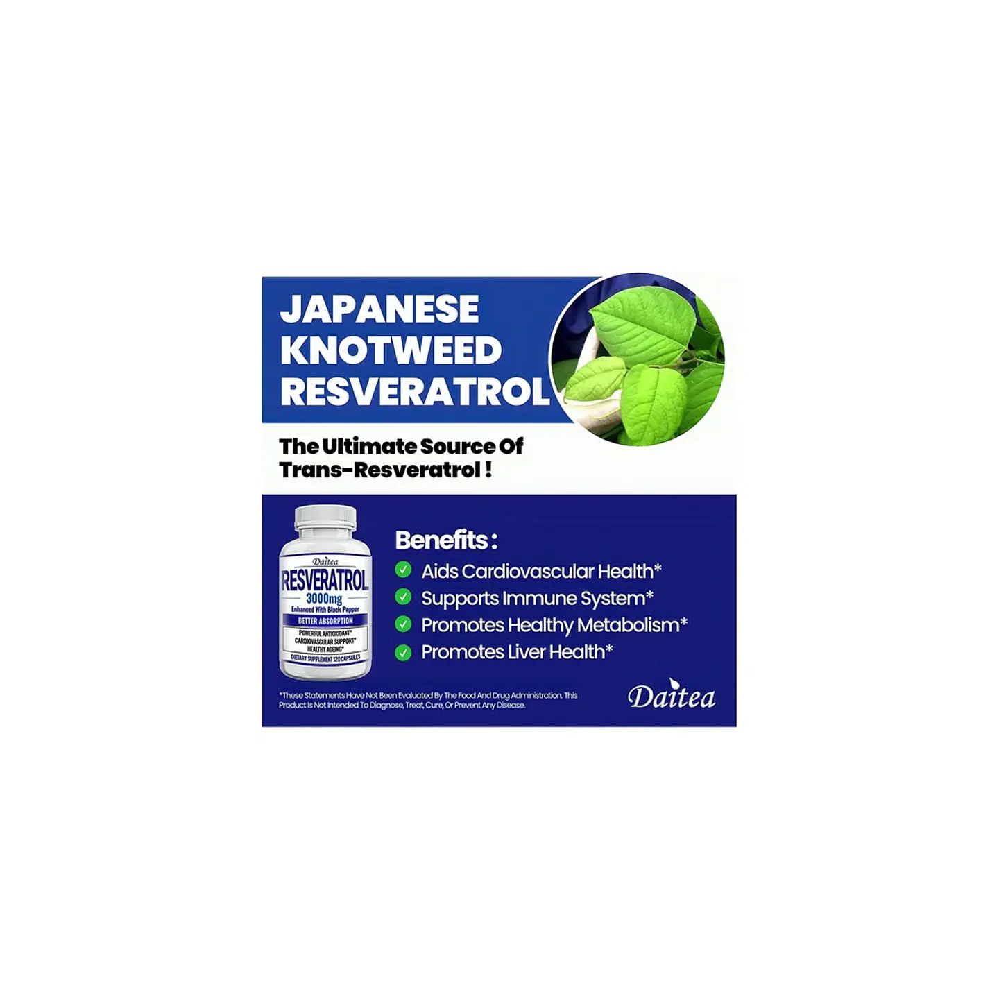 Resveratrol 3000 Mg 60 Cápsulas Suplemento Original 2