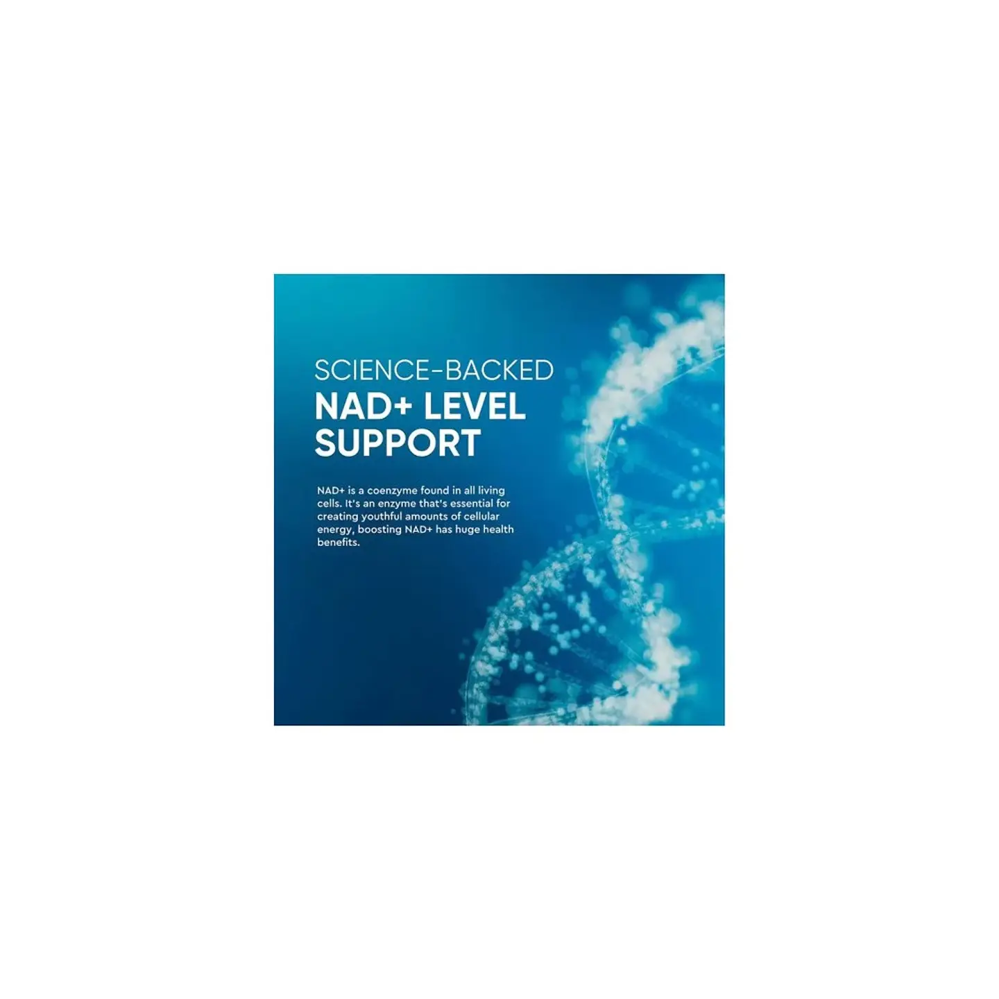 NAD+ Resveratrol Balincer 120 Cápsulas 8