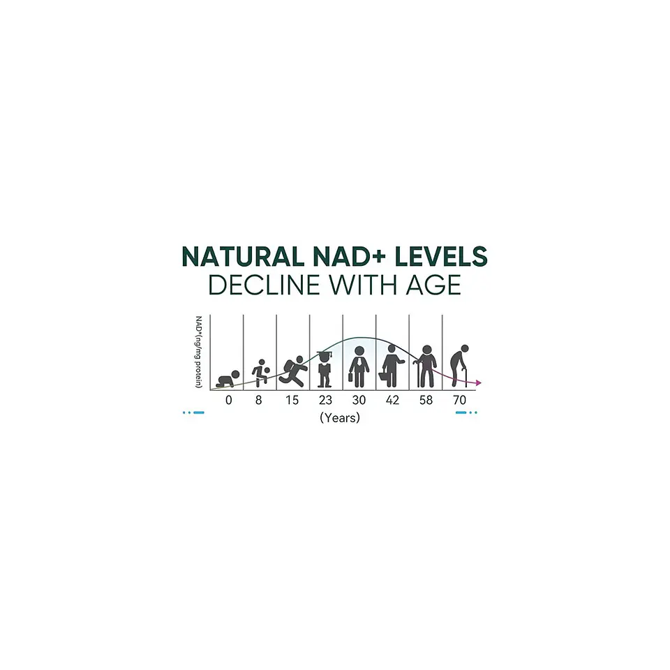 NAD+ Resveratrol Balincer 120 Cápsulas 11