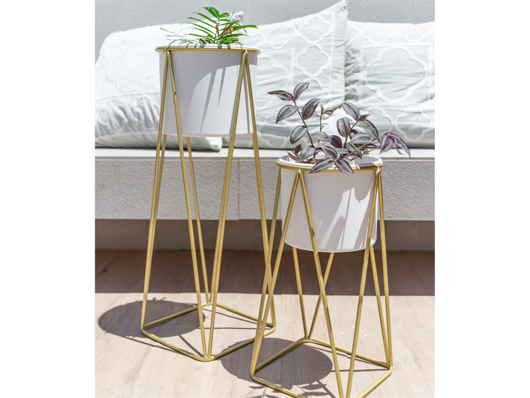 SET Gala dorado con maceta Blanca