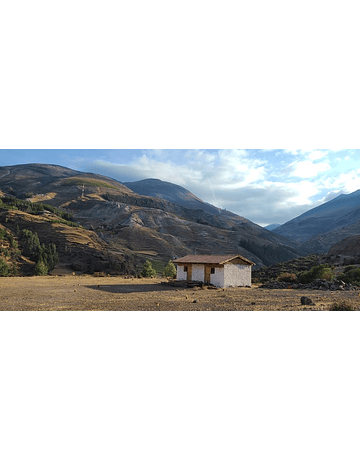 Café Perú Huaynapata Bourbon Lavado - Gregoria Miranda