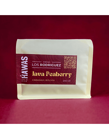 Café Bolivia Java Peaberry - Los Rodríguez