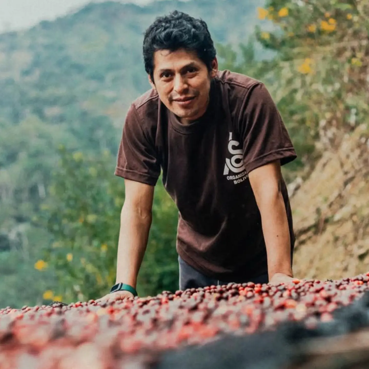 Café Bolivia Caranavi 250g 4