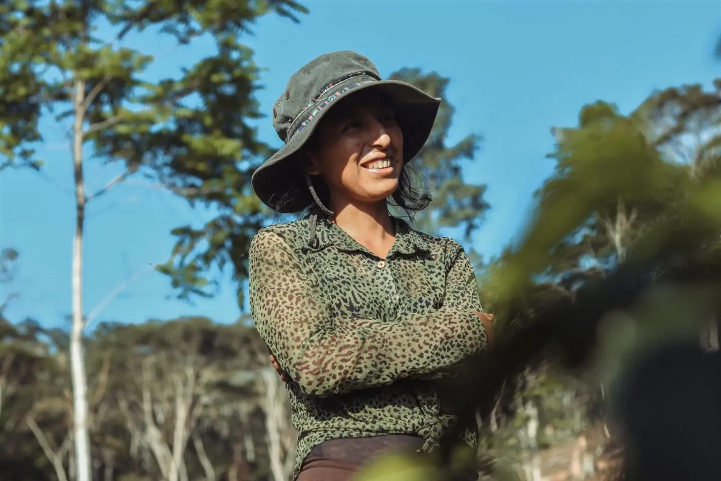 Cafe Bolivia Typica - Roxana Chambi Ed. Limitada 3