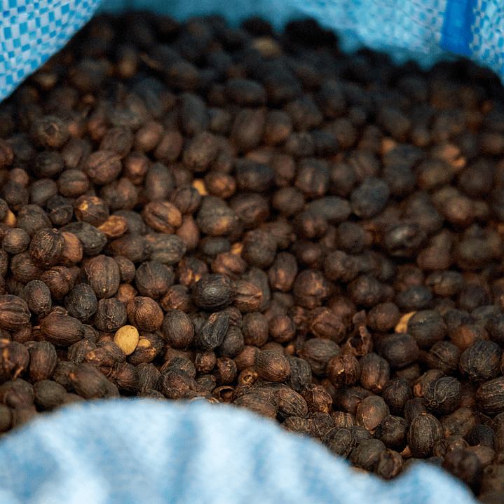 Café Catuai Natural - Nicolas Colque 250 gr 2