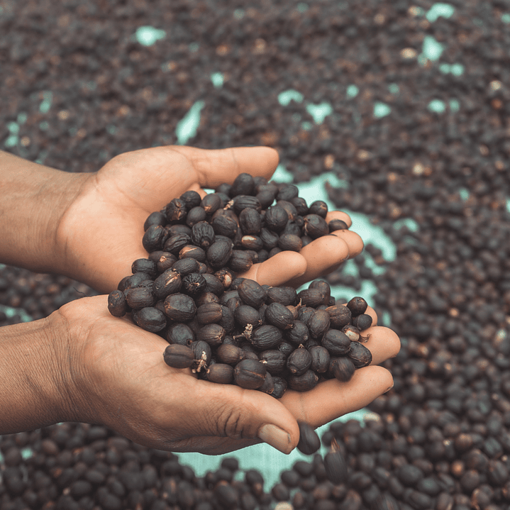 Café Catuai Natural - Nicolas Colque 250 gr 1