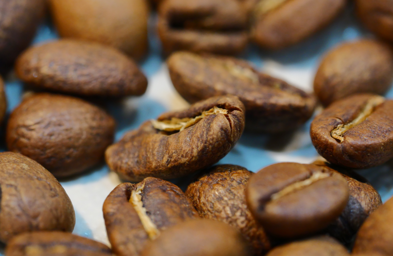 Café Mayorista