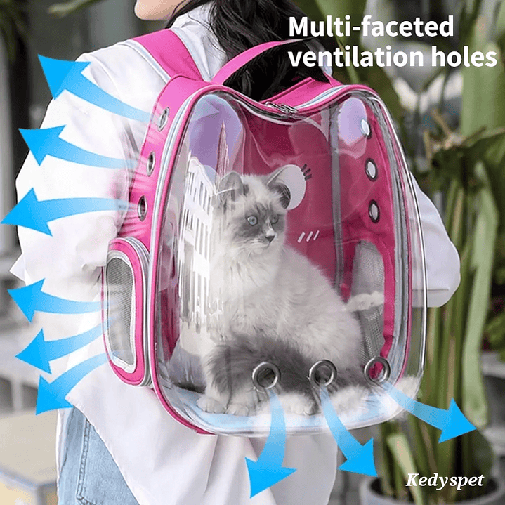 Mochila transportadora para gatos 4