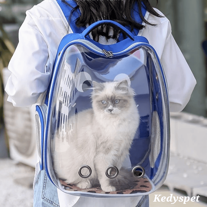 Mochila transportadora para gatos 3