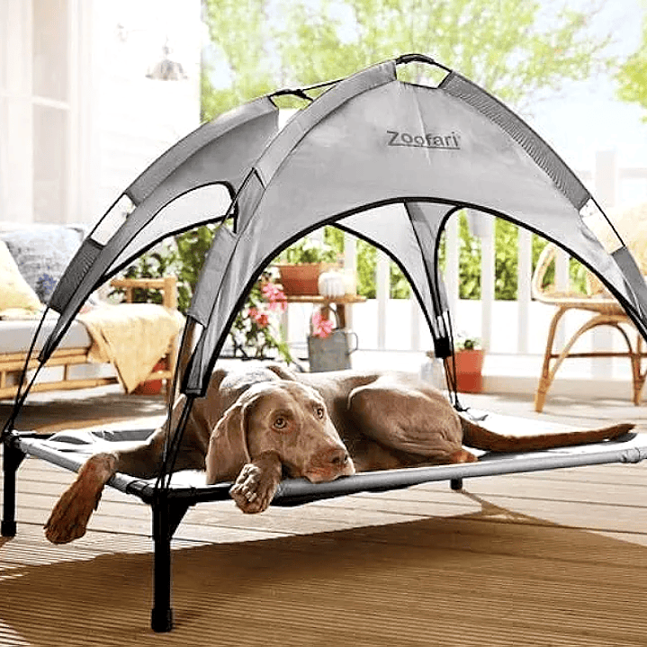 Cama para perros con toldo protección solar 50UV 2