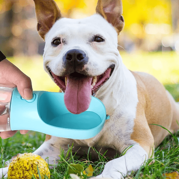 Botella de agua con bebedero + plato plegable para paseos marca Zoofari 4