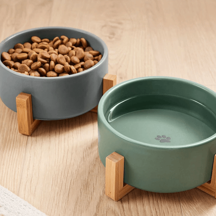 Pocillo de cerámica con base de bamú marca Zoofari 1