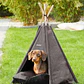 Carpa para mascotas marca Zoofari - Miniatura 2