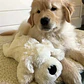 Peluche de apego para perros toy Snuggle Puppy - thumbnail 2