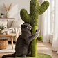 Rascador cactus 🌵 - thumbnail 1