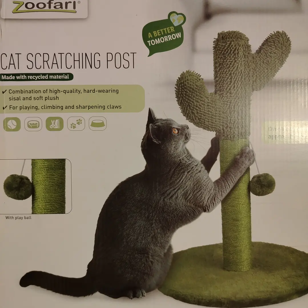 Rascador cactus 🌵 3
