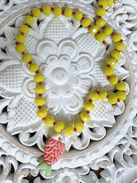 Collar Cp110