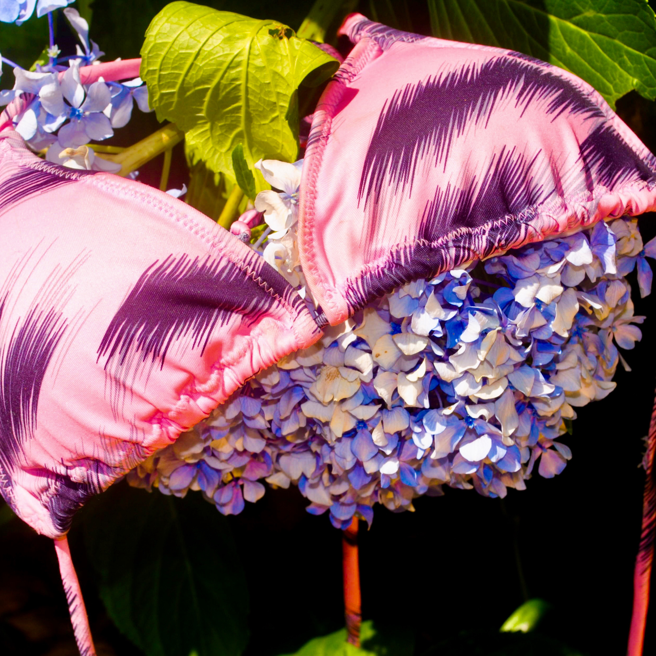 Quienes Somos 