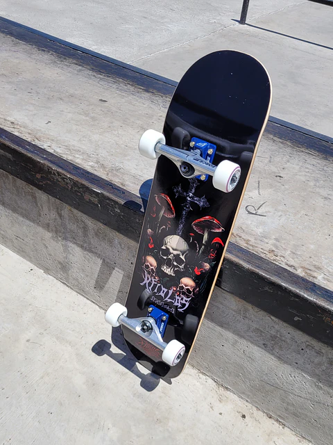 SKATE COMPLETO FUNGAL RITES 8,125" KFIOLOS