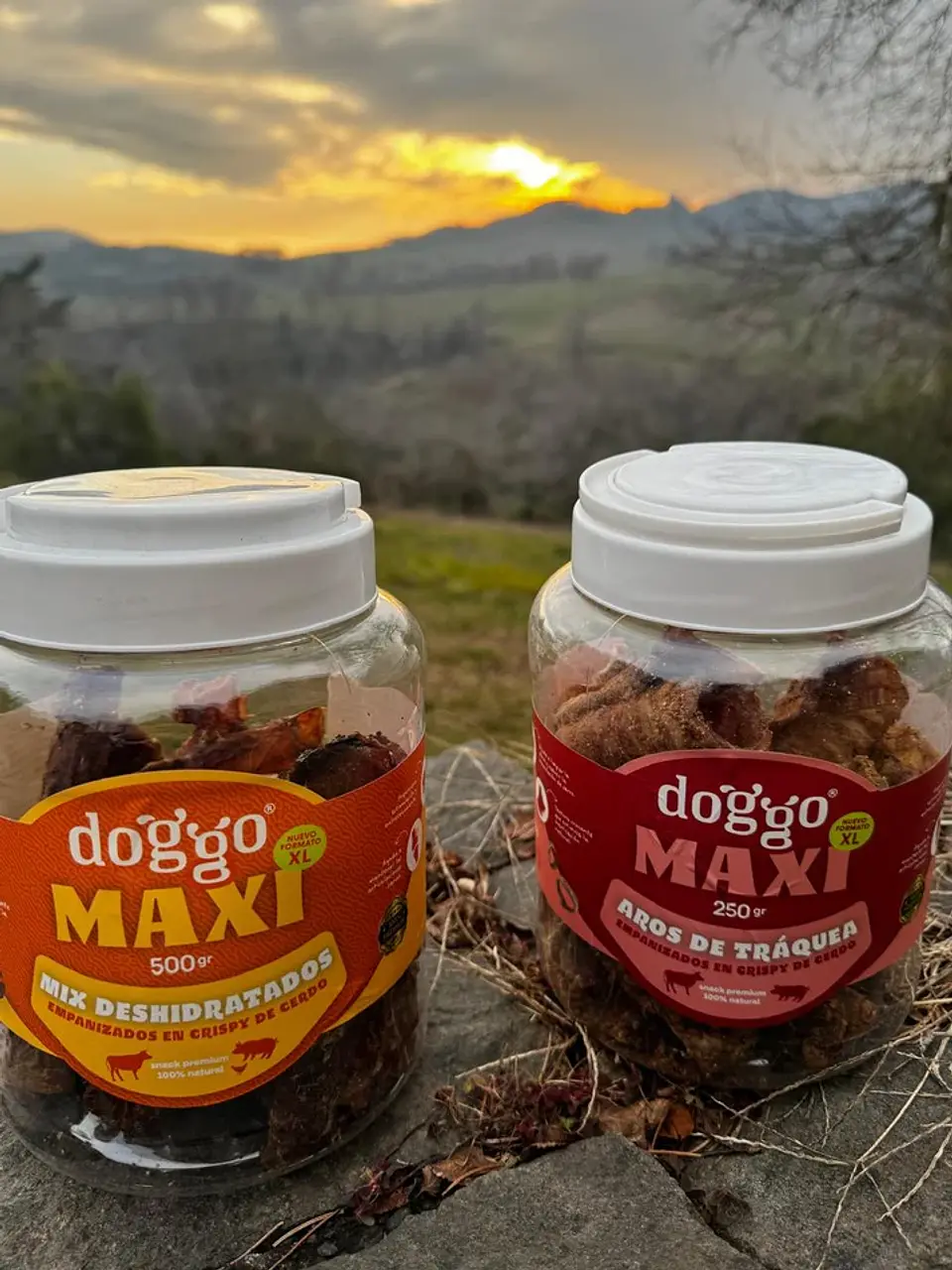 Doggo Bucket Mix de Deshidratados en Crispy de Cerdo 500 g 4