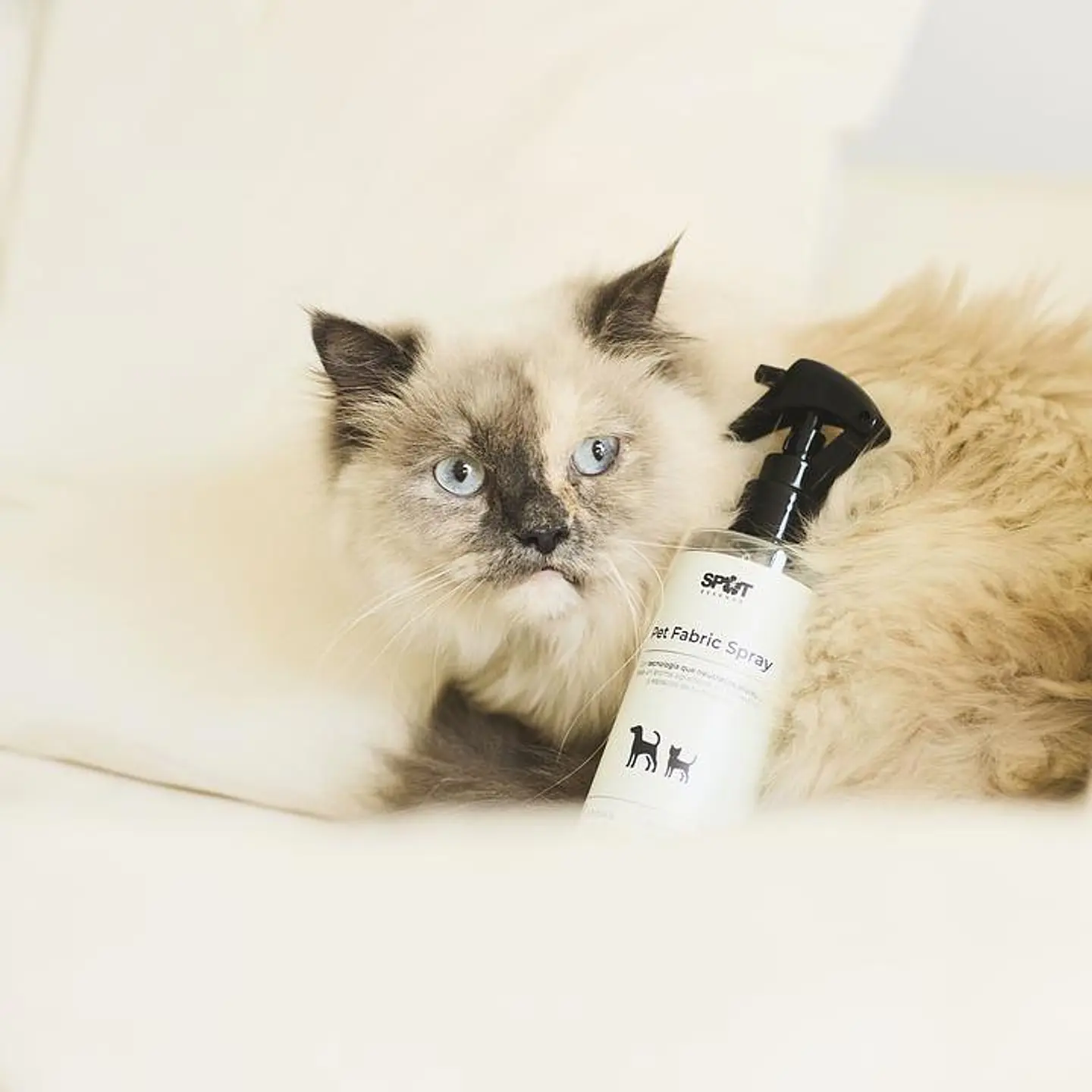 Spot Essence Pet Fabric Spray Fresh Paws 250 ml 3