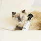 Spot Essence Pet Fabric Spray Fresh Paws 250 ml - Miniatura 3