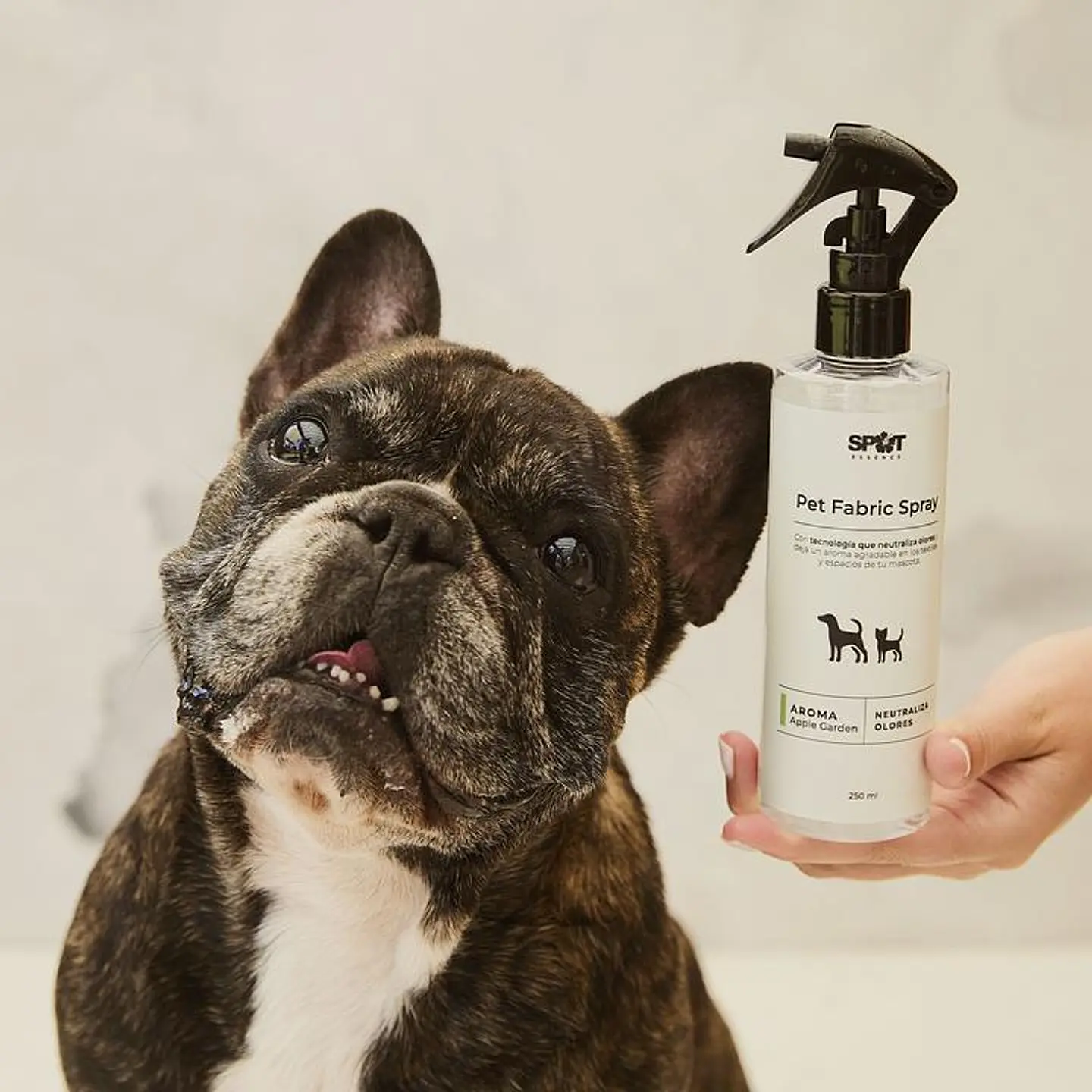 Spot Essence Pet Fabric Spray Fresh Paws 250 ml 2