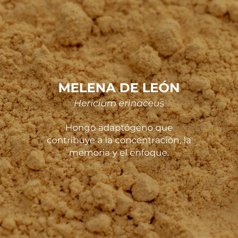ZenLab Enfoque Café de Especialidad con Melena de León 4
