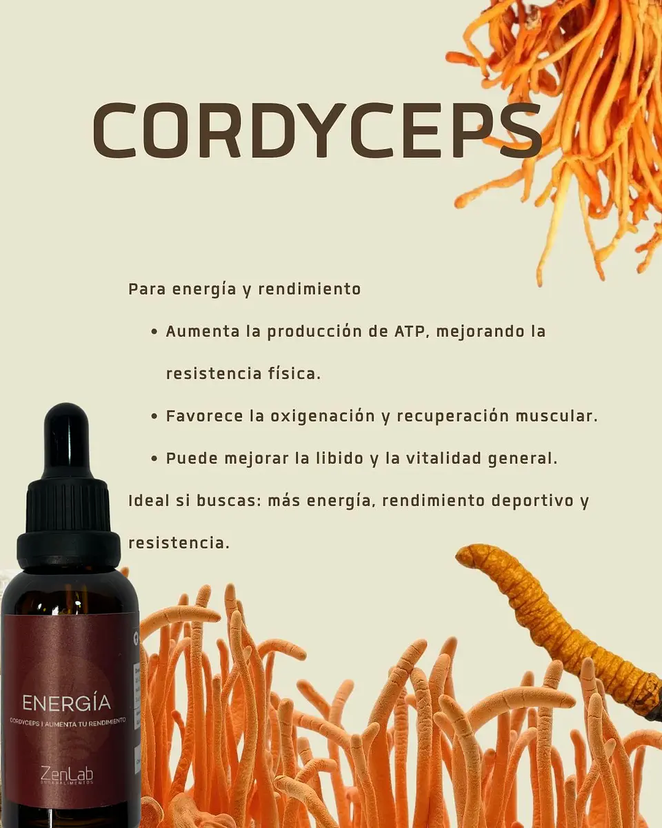 ZenLab Energía Sublingual de Cordyceps 30 ml 2