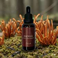 ZenLab Energía Sublingual de Cordyceps 30 ml - Miniatura 4