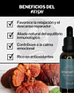 ZenLab Serenidad Ultra Concentrado de Reishi 30 ml - Miniatura 5