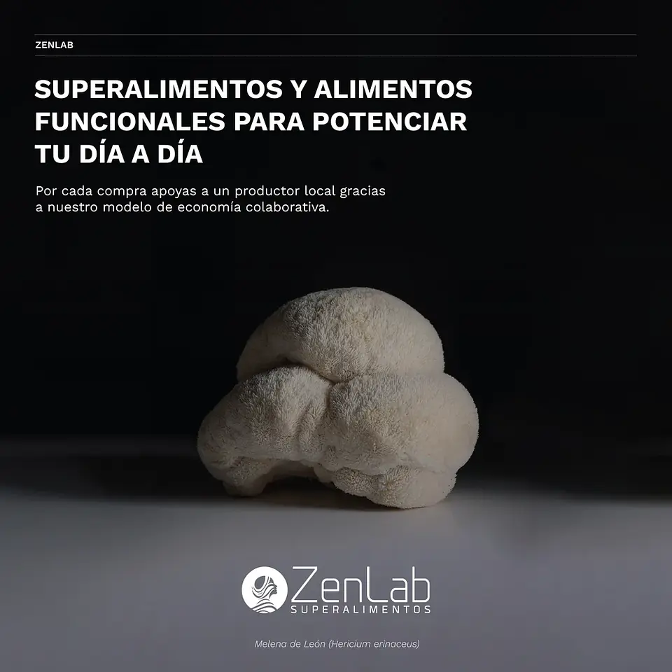 ZenLab Balance Melena de León deshidratada en polvo 5