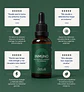 ZenLab Inmuno | Hongo Cola de Pavo | Inmunidad y Digestión | Ultra Concentrado 30ml - Miniatura 2