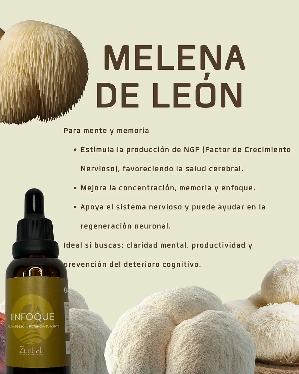 ZenLab Enfoque | Melena de León | Concentración y Claridad | Ultra Concentrado 30ml 5