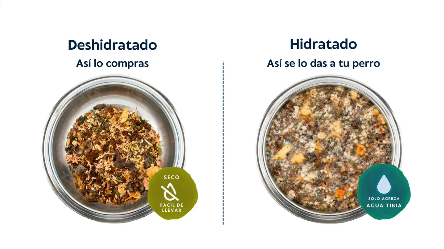 Wankün Alimento Natural para Perros 100 g 6