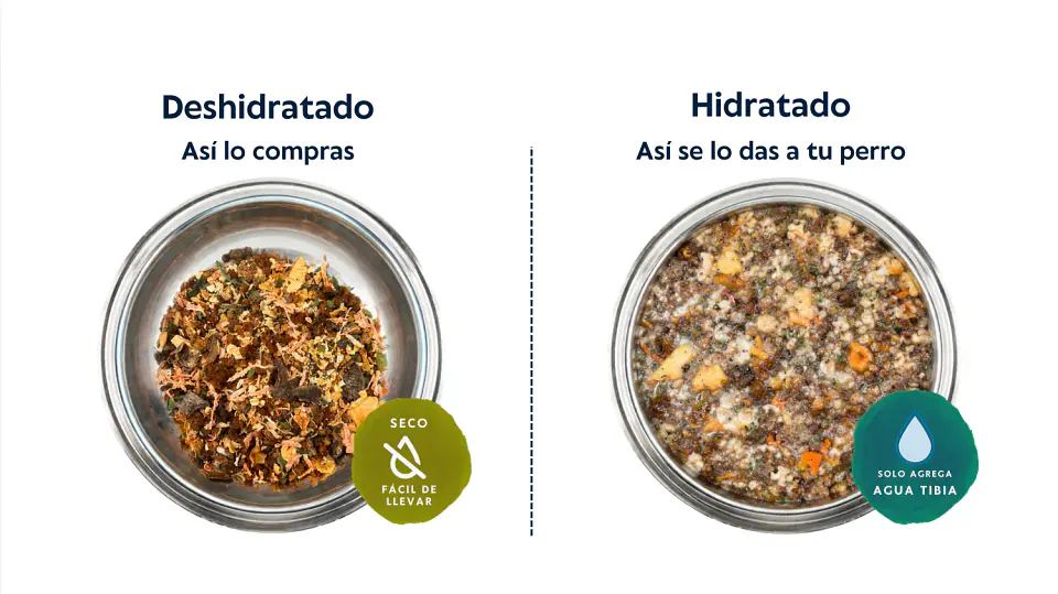Wankün Alimento Natural para Perros 100 g 6