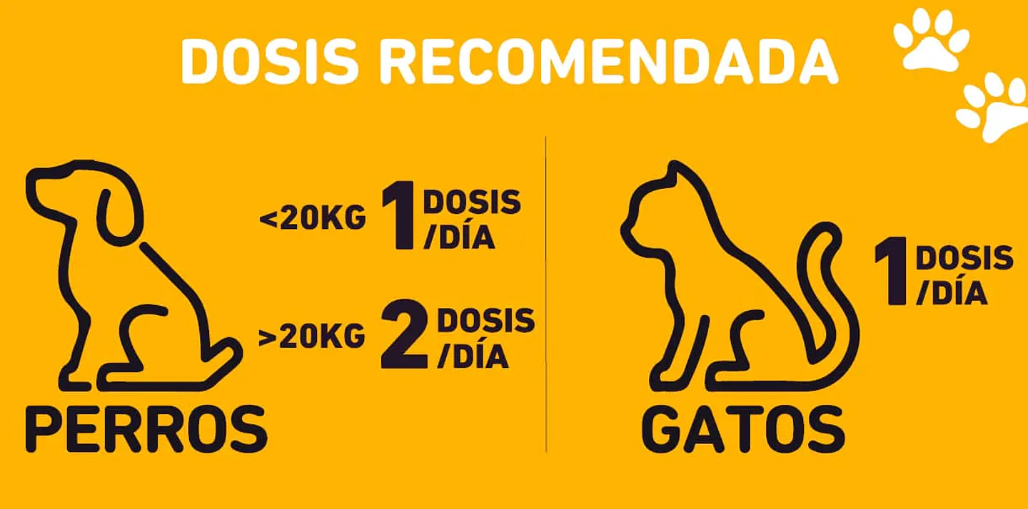 NUP! Pets Pre & Probióticos Salmón 120 g 4