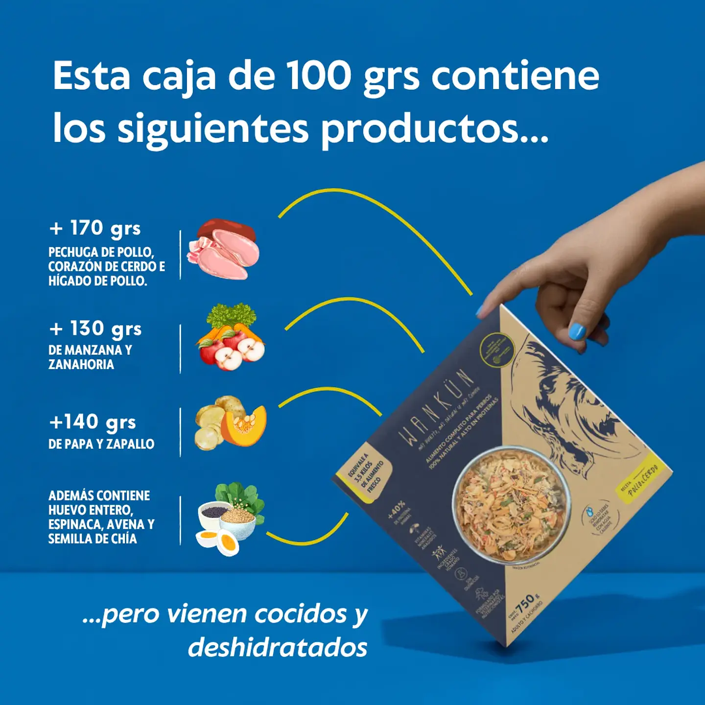 Wankün Alimento Natural para Perros 100 g 9