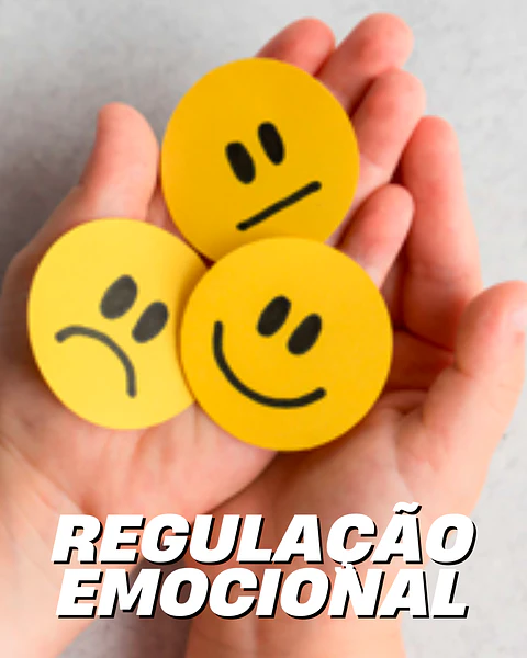 Manual regulação emocional – aprender a gerir emoções com consciência