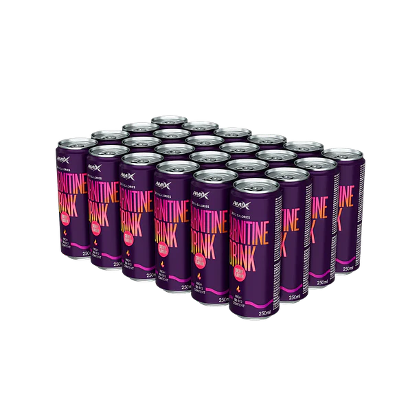 L-Carnitine Drink 24x250ml