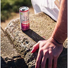 GUTsy Captain Kombucha Framboesa – Pack 12x250ml 1