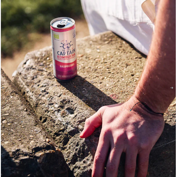 GUTsy Captain Kombucha Framboesa – Pack 12x250ml