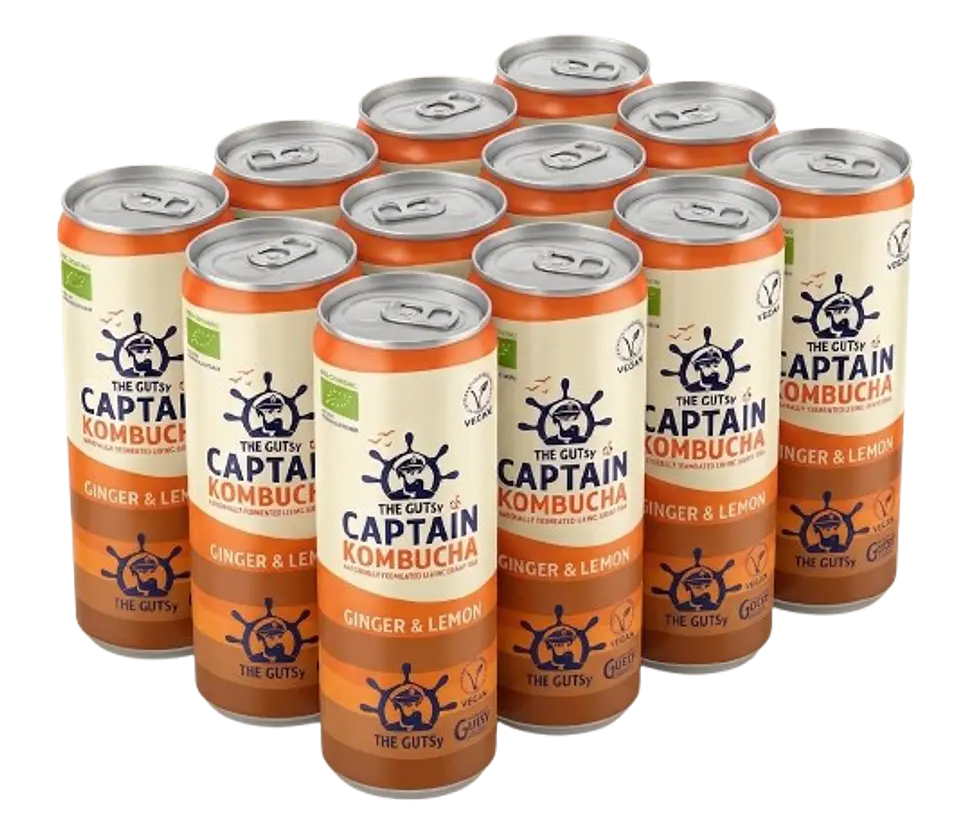 GUTsy Captain Kombucha gengibre e limão 12x250mL 2