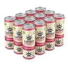 GUTsy Captain Kombucha Framboesa – Pack 12x250ml 2